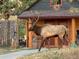 Exterior view of a home with an elk in the yard at 21531 Main Ave, Golden, CO 80401