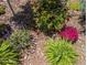 Vibrant garden with colorful flowers and lush greenery, creating a serene and inviting outdoor space at 9 N Waterloo St, Aurora, CO 80018
