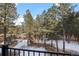 A beautiful view of the backyard showing the forest and wintery landscape through black metal railings at 2492 Baldy Ln, Evergreen, CO 80439