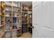Well-organized walk-in pantry offering ample storage space for groceries at 7401 Deerfield Rd, Longmont, CO 80503