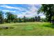 Expansive backyard with mature trees and a well-maintained lawn at 1813 Pikes Peak St, Erie, CO 80516