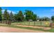 Spacious fenced land, showcasing well-maintained grassy areas, mature trees, and a rustic wooden fence at 1813 Pikes Peak St, Erie, CO 80516