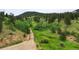 Long private driveway leading to a property in a mountainous area at 26269 Richmond Hill Rd, Conifer, CO 80433