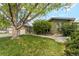 Well-manicured front yard featuring a lush green lawn, mature trees, and brick accents at 2588 S Flower Ct, Lakewood, CO 80227