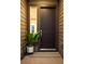 Stylish front door with sleek hardware, adjacent window, and decorative potted plant at 6530 Barnstead Dr, Castle Pines, CO 80108