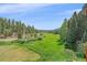 View of a vast green field surrounded by trees at 27612 Shadow Mountain Dr, Conifer, CO 80433
