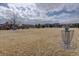 Community park featuring disc golf basket, large grassy area and neighborhood homes in the background at 12218 S Oak Bluff Trl, Parker, CO 80134