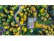 Stunning aerial view of a secluded home surrounded by lush, mature trees and a winding driveway at 13416 Kuehster Rd, Littleton, CO 80127