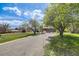 View of front yard featuring gravel drive, mature trees and lawn at 2837 Reed St, Wheat Ridge, CO 80033