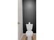 Modern toilet against a sleek black accent wall, offering a minimalist design element at 16048 Elizabeth St, Thornton, CO 80602