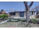 Charming single story home with a brick facade, mature shade tree, and a well-manicured lawn at 1641 Orchard Dr, Denver, CO 80221