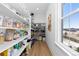 Spacious walk-in pantry featuring ample shelving and a window for natural light at 7517 Copper Sky Ct, Castle Pines, CO 80108