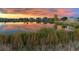 Scenic view of neighborhood reflecting in a serene pond at sunset, with colorful sky at 651 Tiger Lily Way, Highlands Ranch, CO 80126