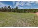 Spacious lot with natural grasses and mature pine trees create a serene atmosphere at 3640 Summertime Ct, Monument, CO 80132