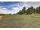 Spacious lot with natural grasses and mature pine trees create a serene atmosphere at 3640 Summertime Ct, Monument, CO 80132