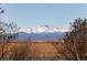 Scenic view of snow-capped mountains framed by trees and a clear sky at 13654 County Road 13, Longmont, CO 80504