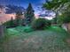 Sprawling backyard with mature trees, lush landscaping, and lawn at 7112 S Platte Canyon Dr, Littleton, CO 80128