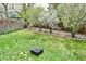 Spacious fenced-in backyard with a lush lawn at 4303 S Yank St, Morrison, CO 80465