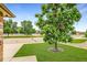 Well-maintained lawn with a mature tree in a desirable neighborhood at 5193 Rustic Ave, Firestone, CO 80504