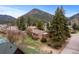 Green backyard showcasing mature trees, lush lawn, and a cozy brick home at 25 High St, Palmer Lake, CO 80133