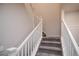 Carpeted staircase with white railings leading to the upper level at 17600 Rose Heath Ln, Parker, CO 80134