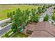 An aerial shot highlighting a backyard with a shed, mature trees, and a covered patio area at 5428 Suffolk Ave, Castle Rock, CO 80104