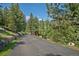Long private driveway leading to a secluded mountain home surrounded by mature trees at 3064 Elk View Dr, Evergreen, CO 80439