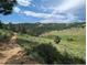 Scenic landscape view with mountains and green trees along a nature trail, with vast open space for hiking and outdoor activities at 229 Berthoud Way, Golden, CO 80401