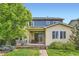 Back of home featuring a covered patio, manicured lawn, and mature landscaping at 859 Equinox Dr, Erie, CO 80516