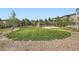 Community greenspace with lush grass and mature trees, perfect for outdoor activities at 7485 S Jackson Gap Way, Aurora, CO 80016