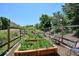Fenced garden area with raised beds, mature plants, seating, and a peaceful, private setting at 8717 Ridgepoint Dr, Castle Pines, CO 80108