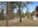 Serene backyard featuring mature trees, a hammock, wooden deck, and outdoor seating area at 4992 White House Trl, Evergreen, CO 80439