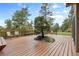 Spacious wooden deck with built-in seating and lush green tree growing in the middle at 4992 White House Trl, Evergreen, CO 80439