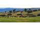 Picturesque landscape with wildlife; perfect for nature enthusiasts at 8014 Trinity Peak Ln, Castle Rock, CO 80108