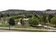 View of nearby green space, picnic area, and sidewalks at 10154 Belvedere Loop, Lone Tree, CO 80124