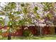 Blooming trees enhance the privacy around the backyard at 12742 Vrain St, Broomfield, CO 80020