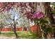 Charming backyard view featuring colorful blooming trees and a well maintained wooden fence at 12742 Vrain St, Broomfield, CO 80020