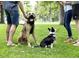 Two dogs on leashes are sitting in the grass with their owners, enjoying a day at the park at 4645 Quitman St, Denver, CO 80212