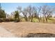 Large, sunny backyard space offering ample room for landscaping and outdoor activities at 2756 E Euclid Ave, Centennial, CO 80121