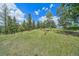 Expansive lush lawn with tall mature trees under a blue sky with fair-weather clouds at 31231 Red Hawk Trl, Conifer, CO 80433