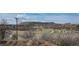 This is a scenic view of the neighborhood homes and a winding road towards the mountain at 1677 Valley Oak Ct, Castle Rock, CO 80104