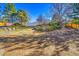 Large backyard featuring beautiful trees and landscaping at 3798 S Wabash St, Denver, CO 80237