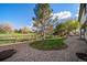 Expansive grassy backyard featuring mature trees and an area with decorative rock at 20838 Parliament Ct, Parker, CO 80138