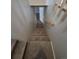 Carpeted stairs leading to the basement at 2758 S Salida St, Aurora, CO 80013