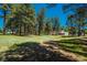 Picturesque backyard with tall pine trees and a well-manicured lawn showcasing the home's serene natural setting at 33589 Robin Ct, Elizabeth, CO 80107