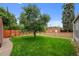 Green backyard with a large tree, well-maintained lawn and a detached brick garage at 1429 Hudson St, Denver, CO 80220