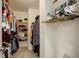 Walk-in closet featuring shelving for shoes and hanging space for an extensive wardrobe collection at 15432 Greenstone Cir, Parker, CO 80134