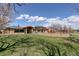Community playground with slides, swings, and green lawn at 15432 Greenstone Cir, Parker, CO 80134
