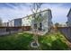 A green backyard with a concrete patio and a newly planted tree at 747 Mockingbird St, Brighton, CO 80601