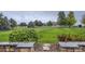 Spacious backyard with lush green grass, mature trees, and white fence in the background at 15102 Prairie Pl, Broomfield, CO 80023